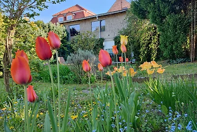 Ferienwohnung am Töpferwall