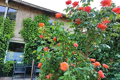 Vakantiewoning aan de Töpferwall