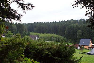 Vakantiehuis bij het bos