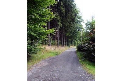 Casa vacanze nella foresta