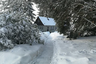 Casa vacanze nella foresta
