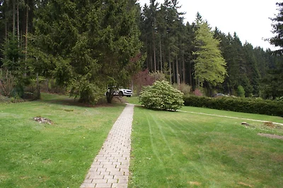 Casa vacanze nella foresta