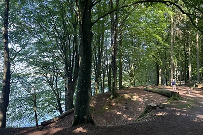Vakantiehuis met zeezicht