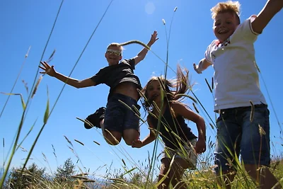 Sachserhof, Herz & Gemütlich