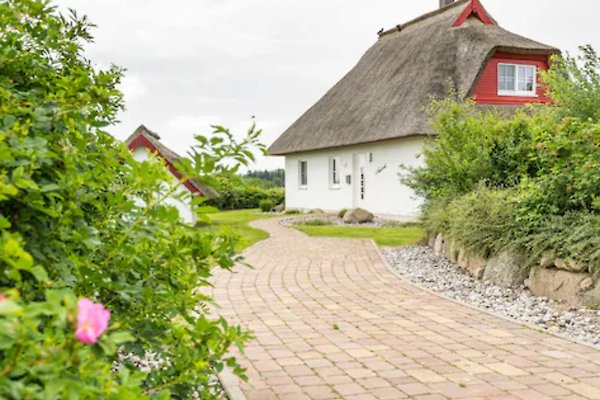 Ferienhaus Zinnowitz