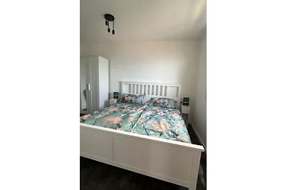 Casa Maestro