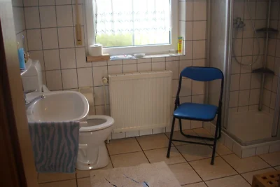 Haus Wasserfloh: Boot und Steg