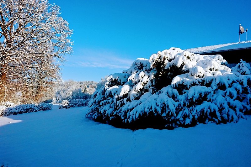 Winterwunderland- Garten
