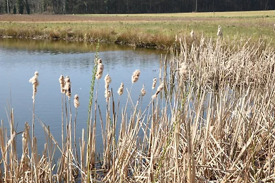 Speicherhäuschen