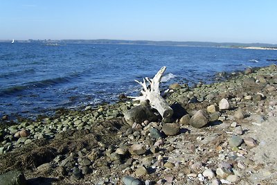 Ferien am Meer