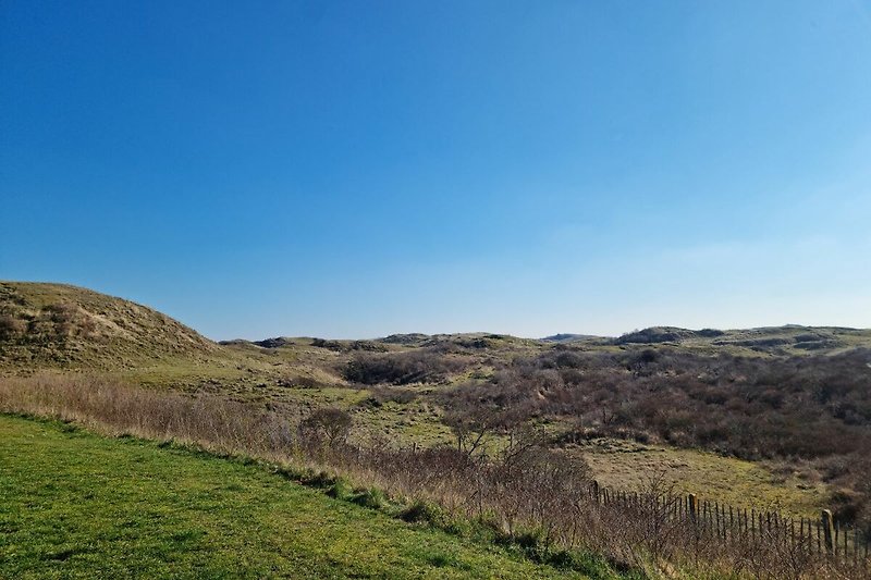 Dunes Egmond aan Zee