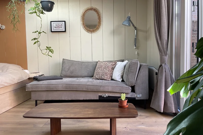 Wohnzimmer mit Couch, Kissen und Pflanzen.