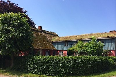 Ferienwohnung in Falshöft