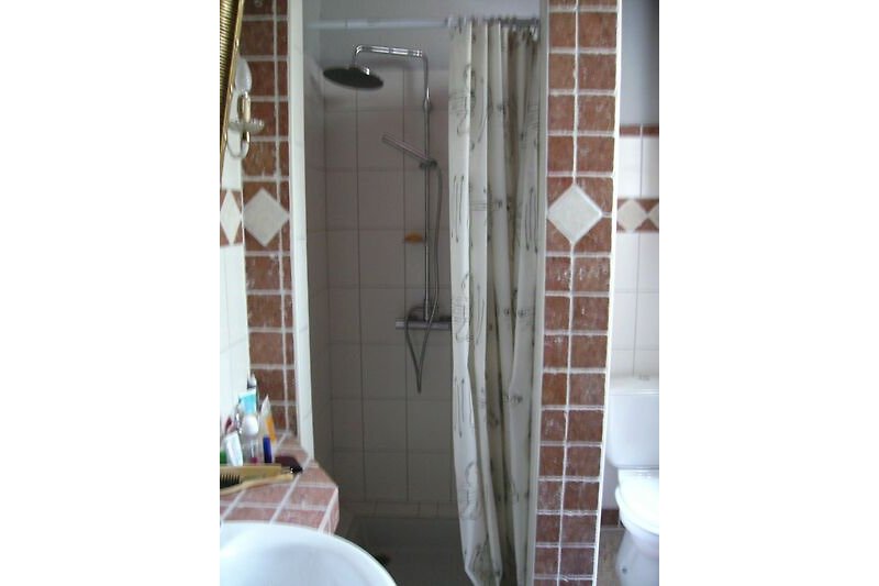 Badezimmer mit Toilette und Dusche, Waschmascine und Fenster zum Innenhof