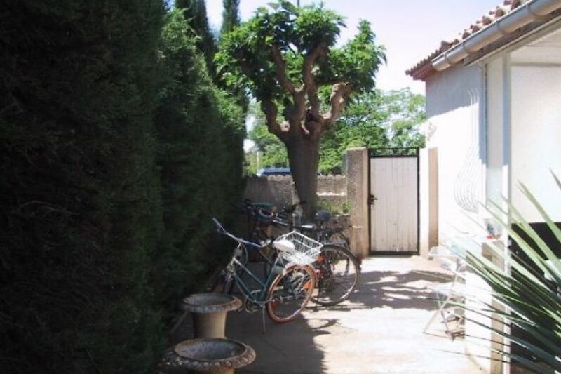 Eingangsbereich mit Maulbeerbaum