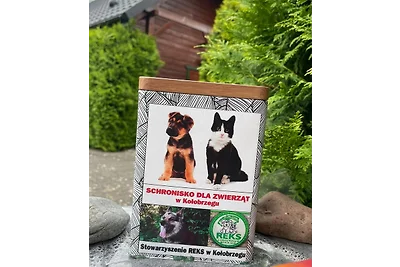Häuschen unter den Birken