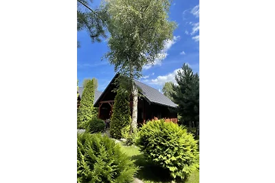 Häuschen unter den Birken