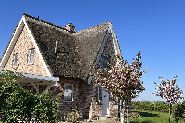 Ferienhaus Poseritz