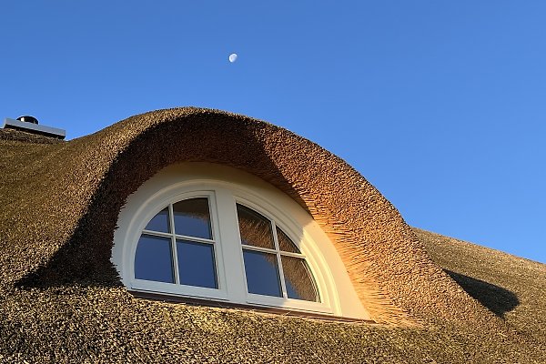 Ferienhaus Poseritz