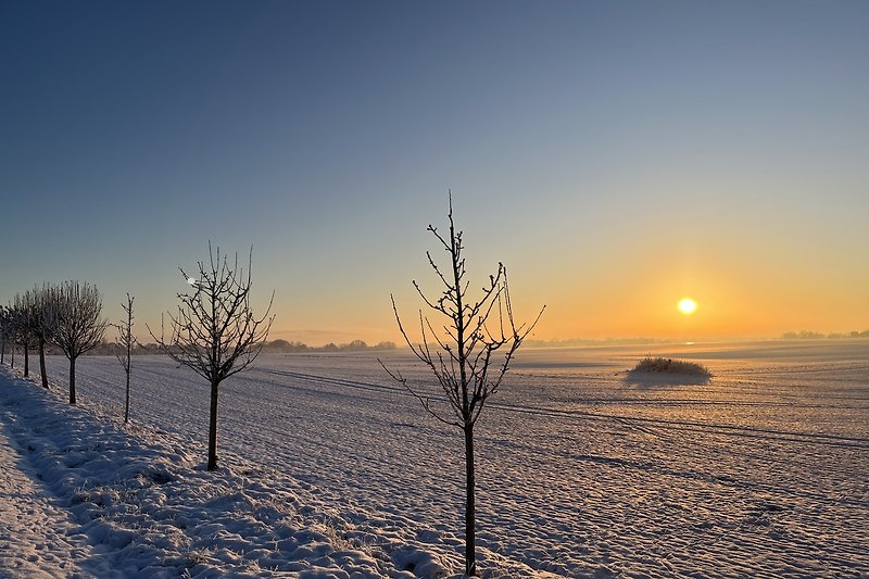 Winterlandschaft mit verschneiten Bäumen und Blick auf Mellnitz