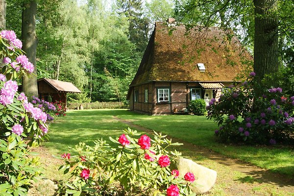 Ferienhaus Schneverdingen