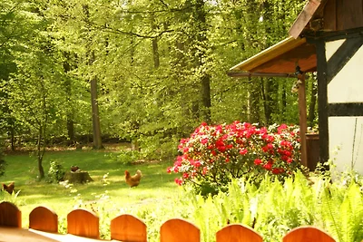 Backhäuschen auf Hof Limbeck