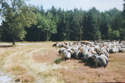 Schnuckenhaus bij Limbeck Farm