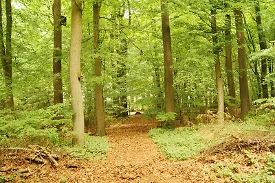 Backhäuschen auf Hof Limbeck