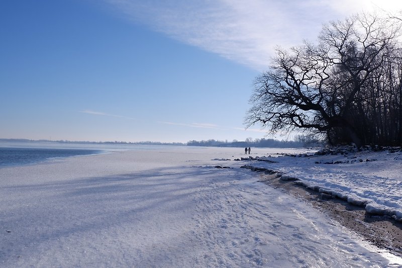 Wintereindruck Ostsee