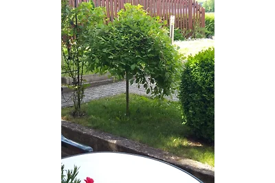 Vacanze piatte ELISA