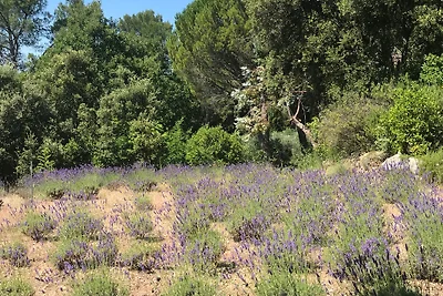 Sarpouillet