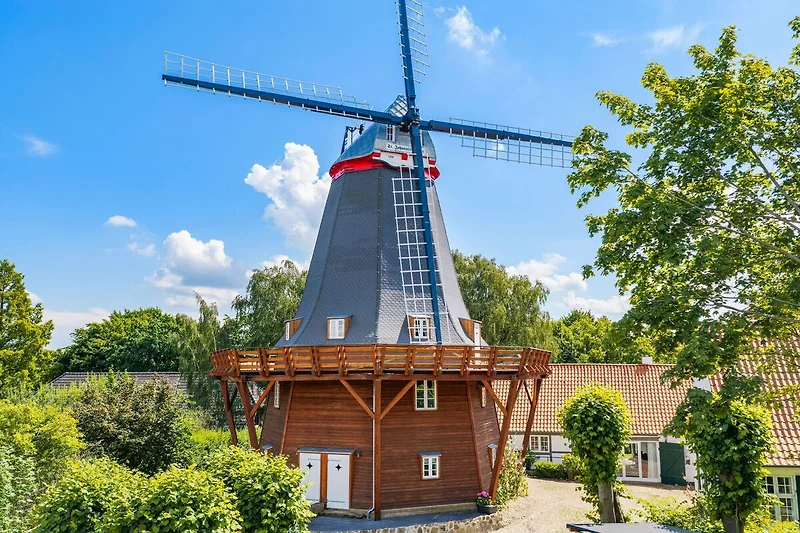 Hauptansicht