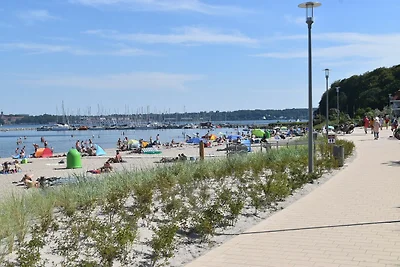 Strandresidenz Wassersleben fewo1846 - Musche...