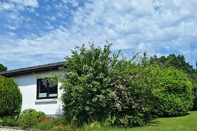 Vakantiehuis Ontspannende vakantie 