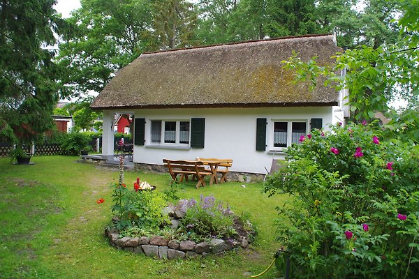 Ferienhaus Glowe