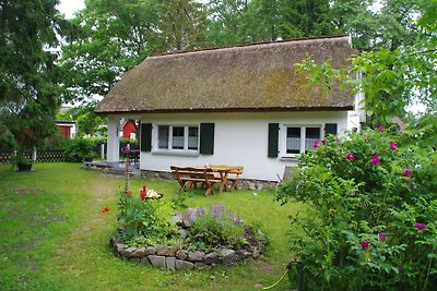 Casa di vacanza "Beachcomber