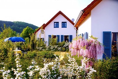 Holiday home relaxing holiday Losheim am See