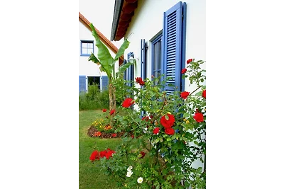 Ferienhäuser Bellana - Haus 2