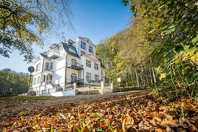 Appartement Schilfrohr