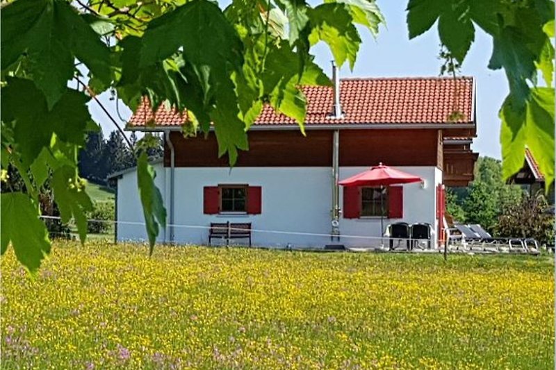 Idyllische und freie Randlage im Feriendorf Via Claudia