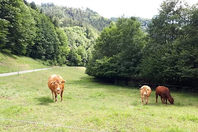 Heimatglück Schwarzwald