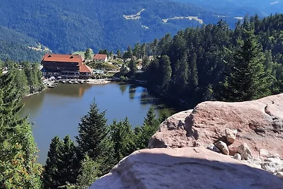 Schwarzwald-Auszeit mit Wellness