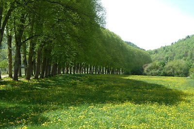 Vakantiewoning aan de Altmühl