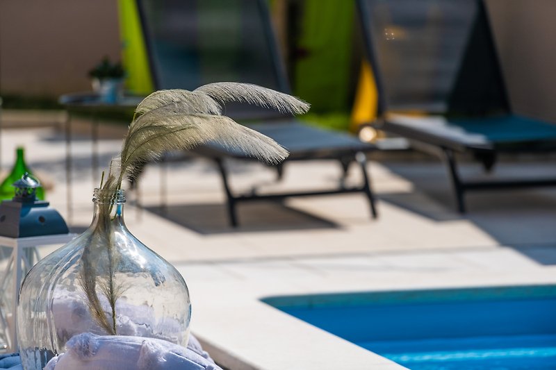 A serene outdoor setting with a swimming pool, bird perched on outdoor furniture, and a water feature.