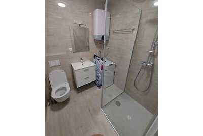 Luxury apartment Jukić