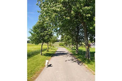 Ferienwohnung am Wald