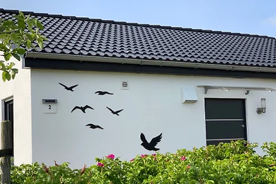 Möwennest