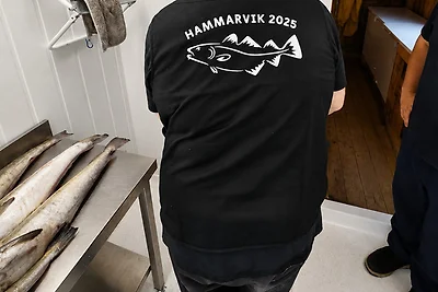 Hammarvik Feriehus, house 3