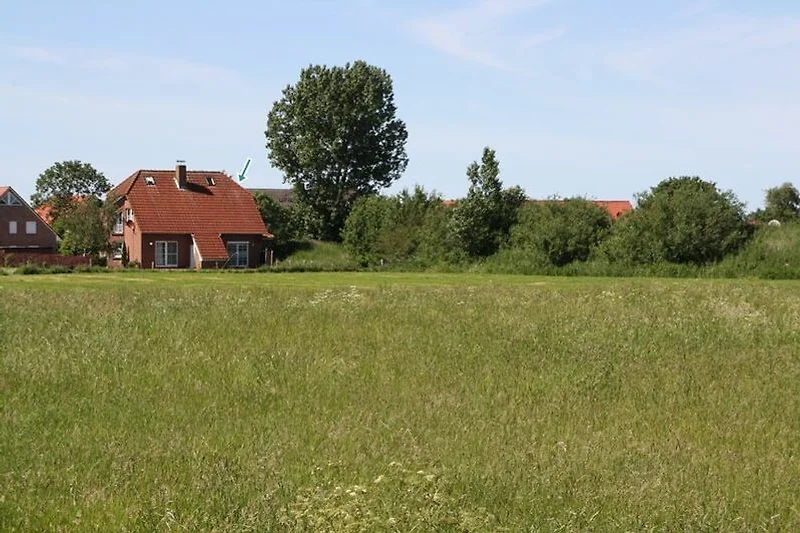 Hauptansicht