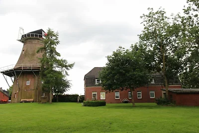 Uttumer Mühle: Eiske